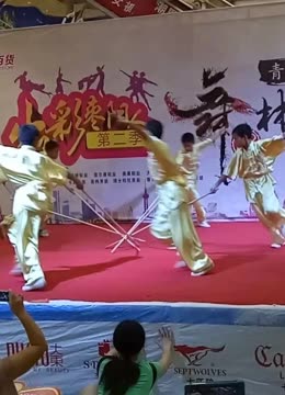 2026年全国传统武术公开赛(广东赛区)在深圳举行(图1)