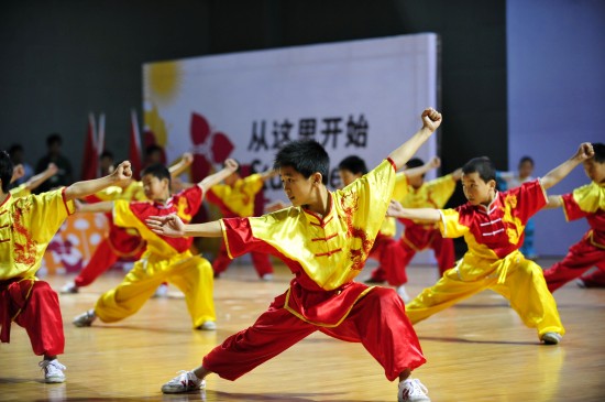 张玉萍：传统武术热度不足弘扬传武任重道远(图1)