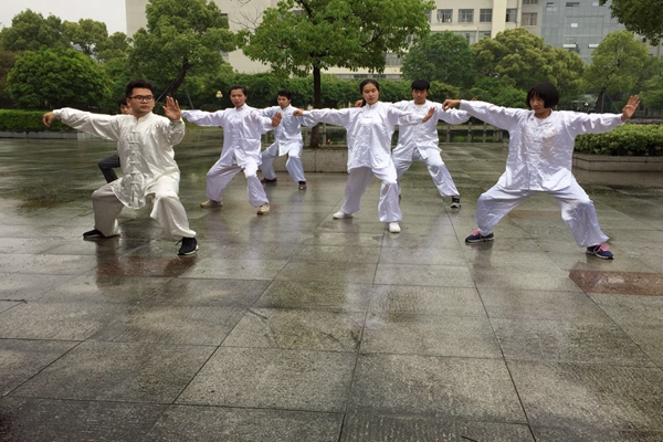 中国传统武术运动协会(图1)